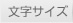 文字サイズ